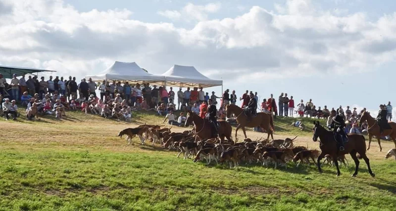 Fête de la Chasse