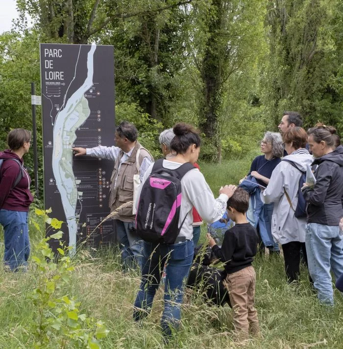 Balade découverte de la biodiversité du parc de Loire