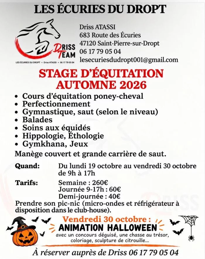 Stage équitation automne