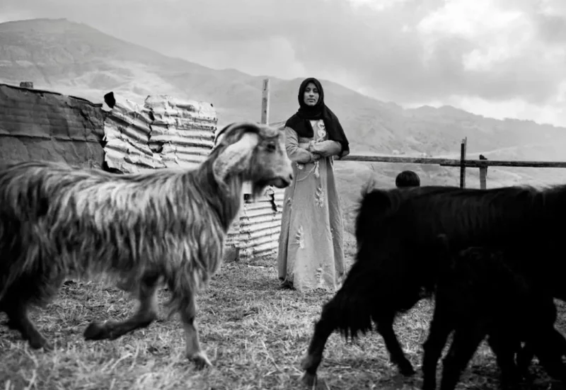 Exposition TEMPORARY LAND
