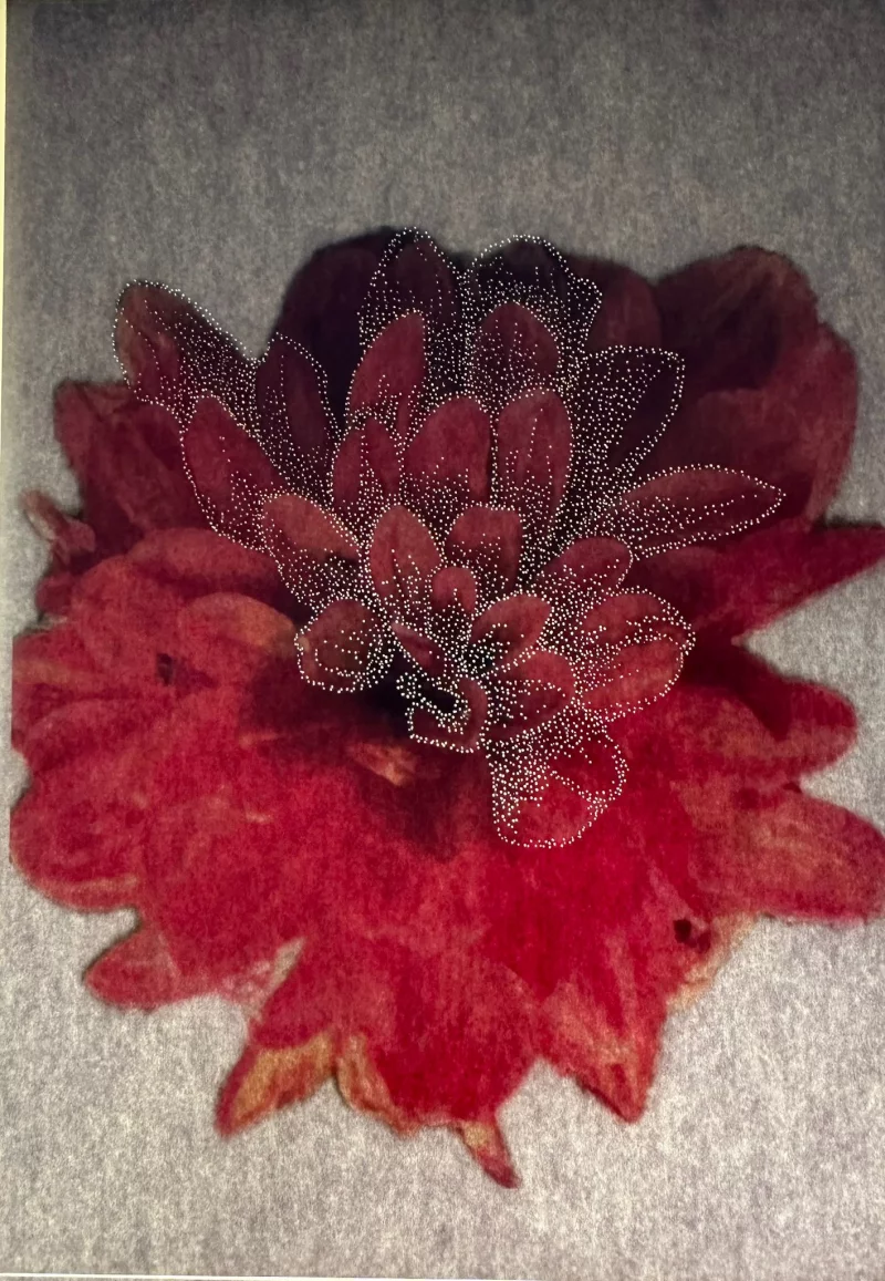 Exposition d'art - le jardin extraordinaire de M. Chaudun