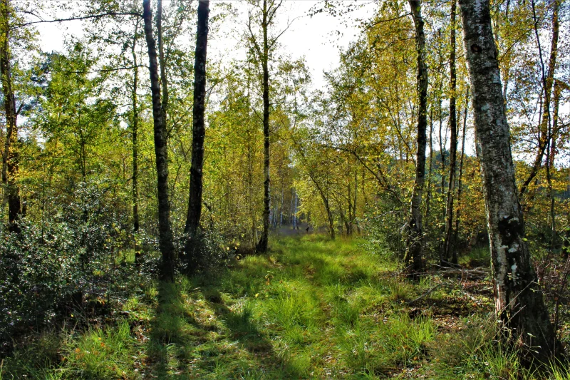 Escapades Nature : sortie photo