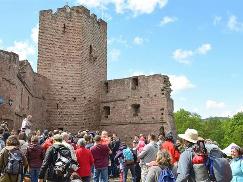 Expériences Mossig & Vignoble : Visite guidée du Château de Wangenbourg