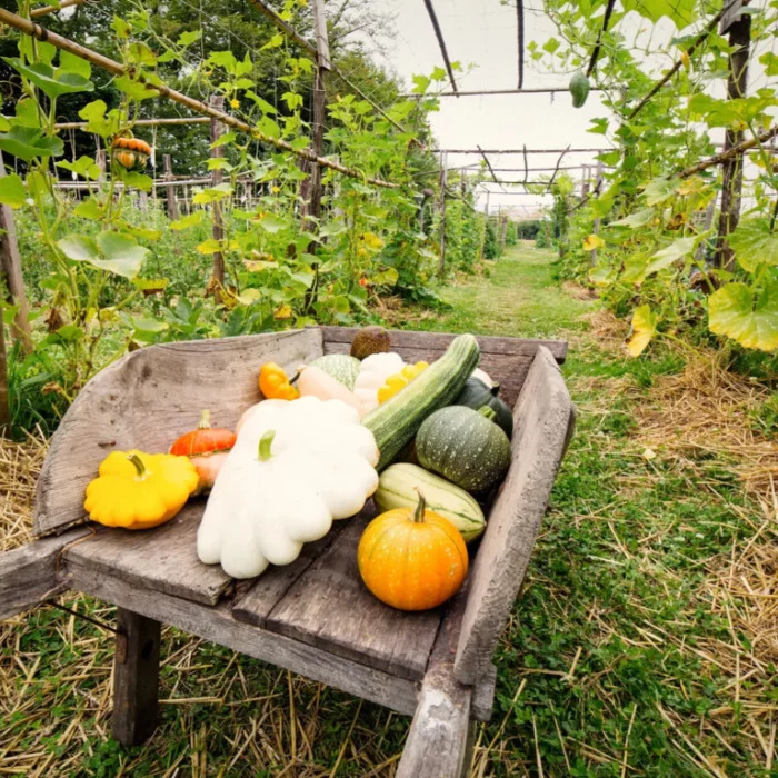 Le rendez-vous unique