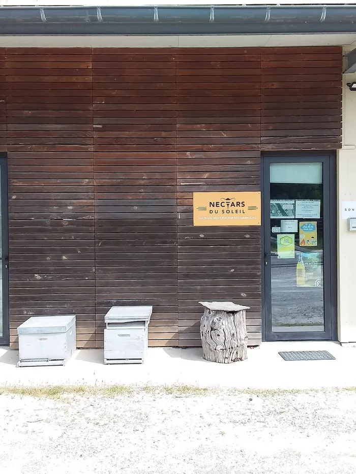 Découvrez la vie des abeilles en vous amusant