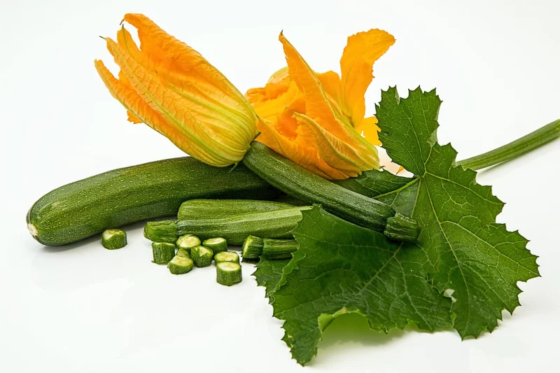 À la découverte de la courge Slàoui