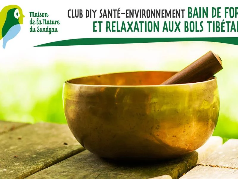 Club DIY Santé-Environnement : Bain de forêt et relaxation aux bols tibétains