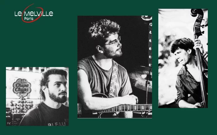 Fedia amice trio
