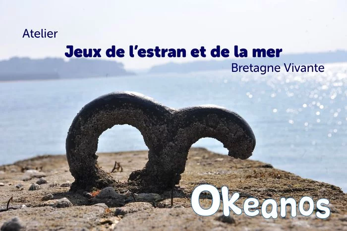 Atelier « Jeux de l’estran et de la mer »