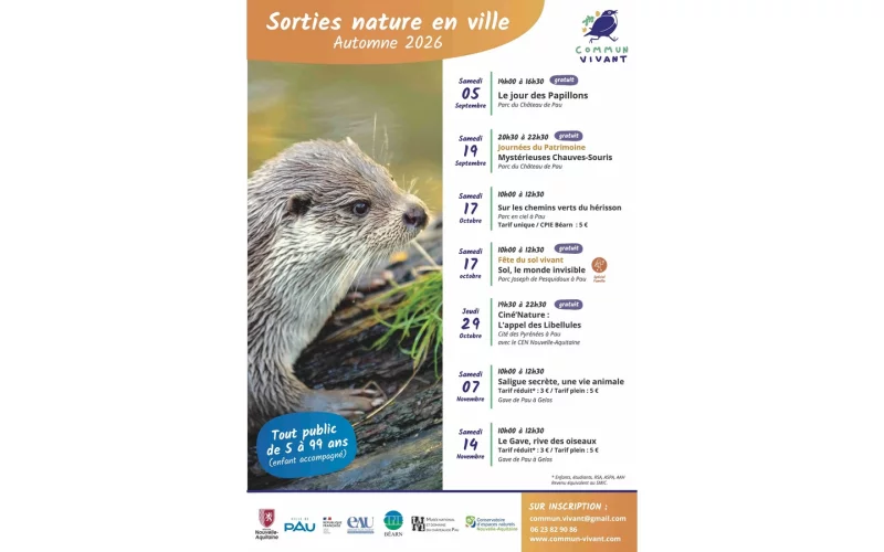 Sortie nature - Le gave, rive des oiseaux