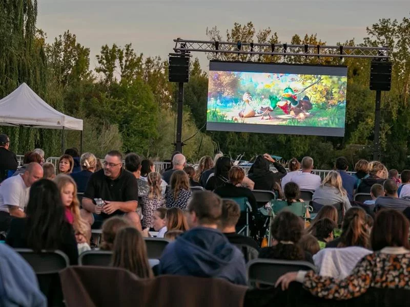 Ciné plein air Le Robot sauvage