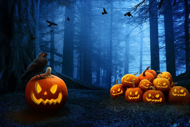 Halloween à l'Accrobranche - Étang de la Vallée