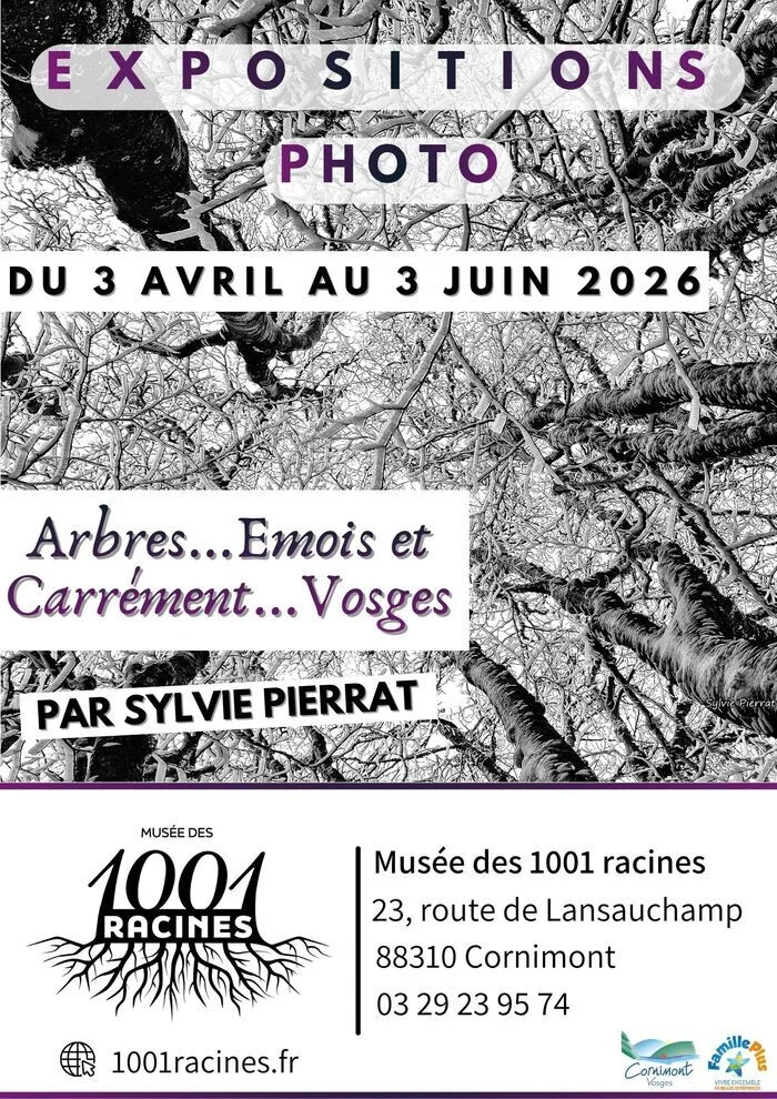 Exposition "Arbres...Emois et carrément Vosges"