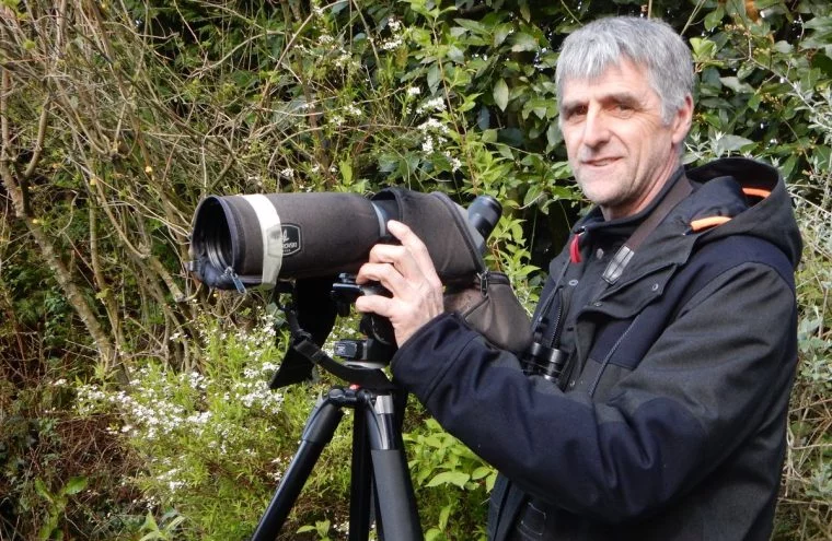 Les oiseaux du marais et des bois