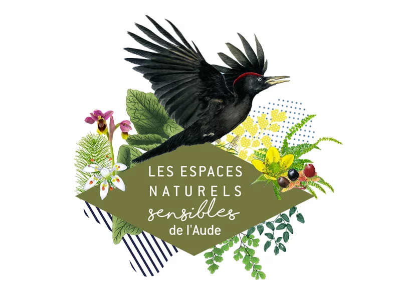 ENS - NUIT DE LA CHAUVE-SOURIS