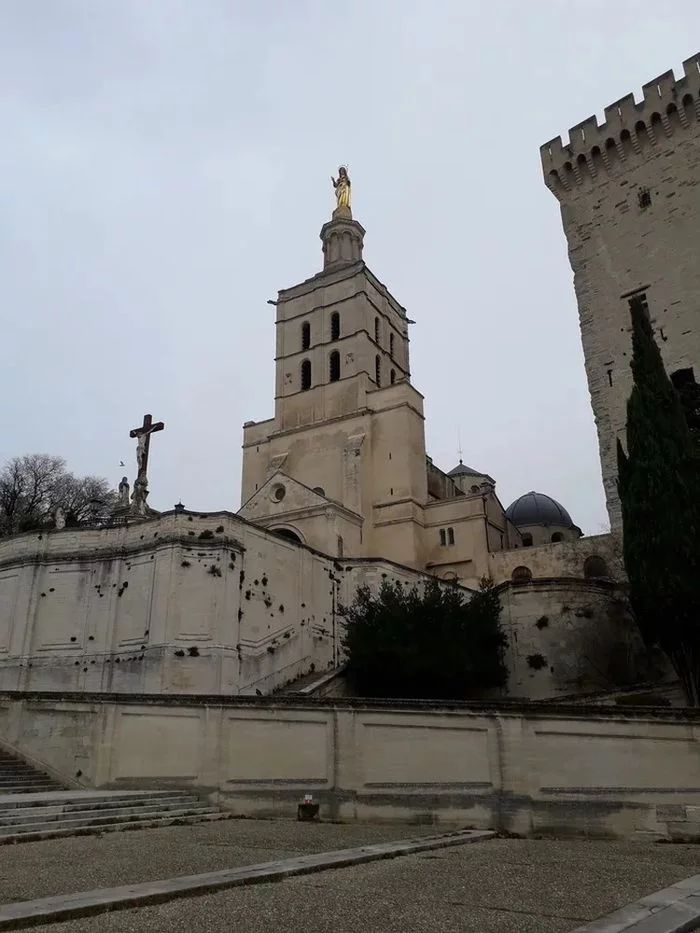 Visite de la Basilique Métropolitaine Notre-Dame-des-Doms