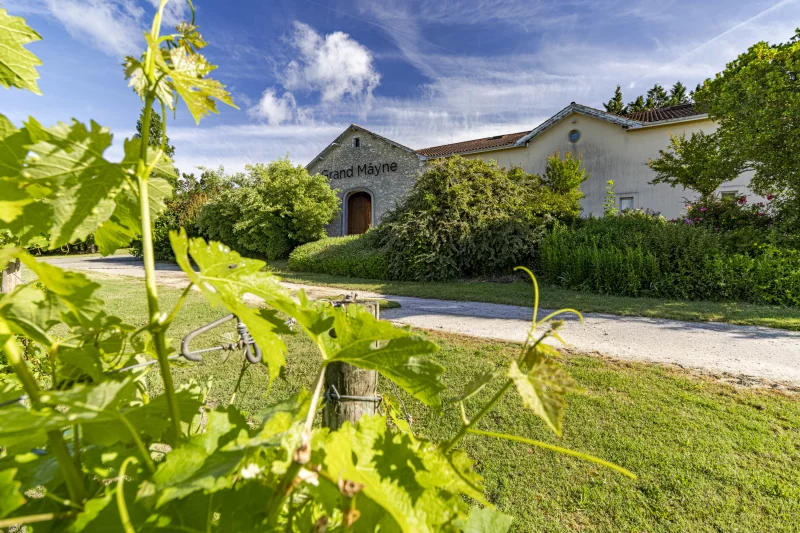 Ici, nos savoir-faire - Visite Domaine du Grand Mayne