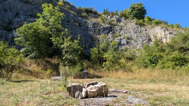 La fée des pelouses sèches vous invite dans son royaume