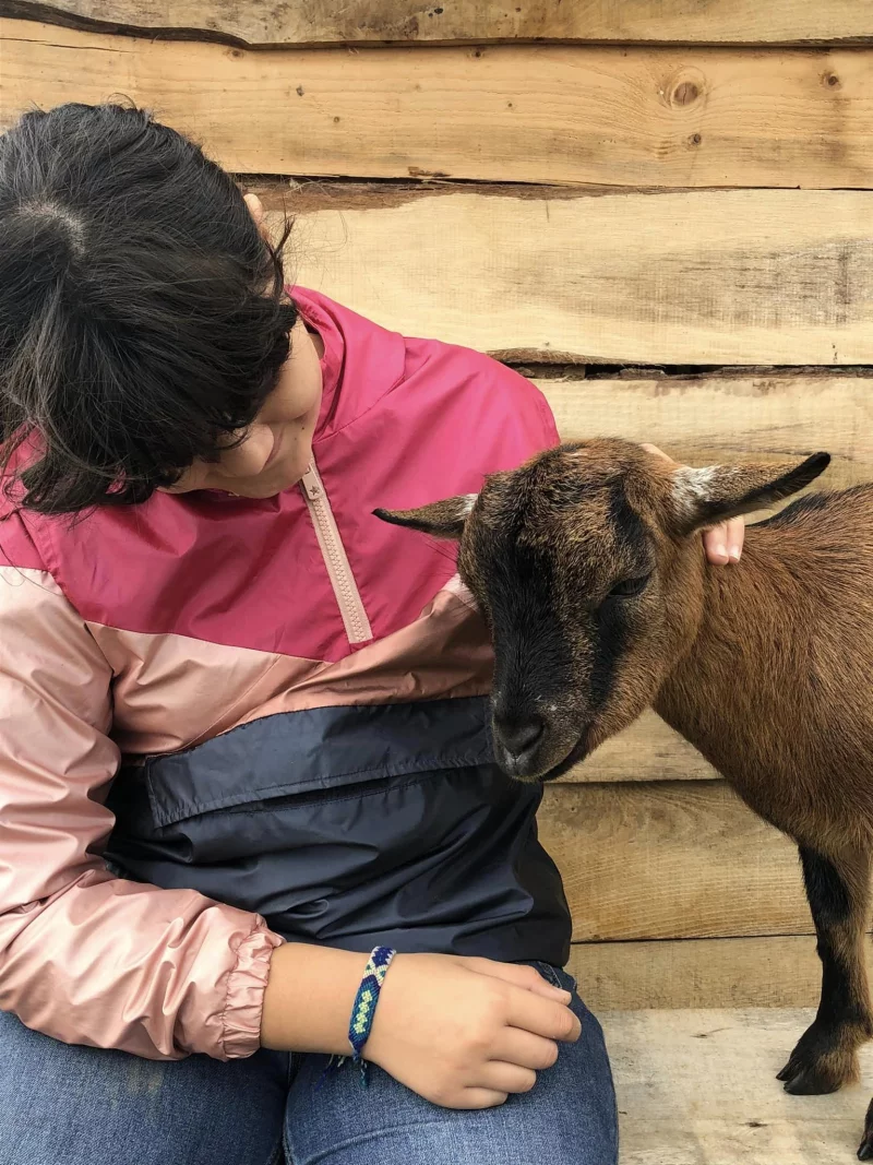 Les « petits Fermiers » au fil des saisons