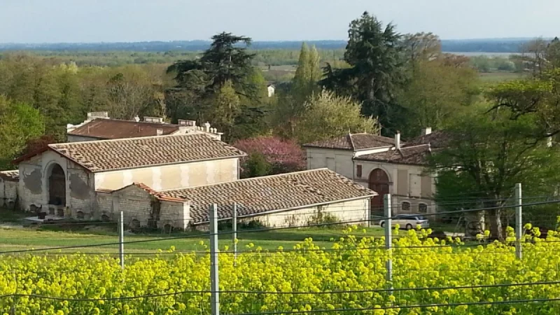 Château L'Escarderie - "Un dimanche au Château en Fronsadais-Libournais"
