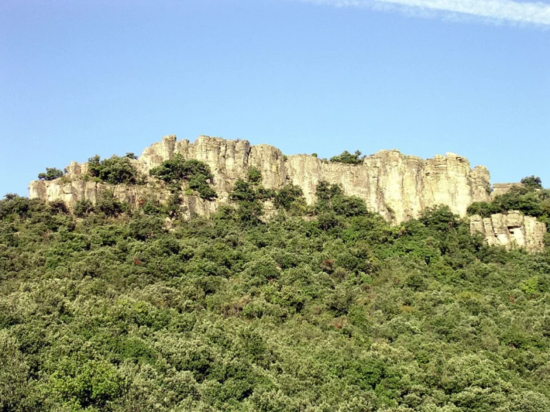 DÉCOUVERTE “LES ORGUES DE TAUSSAC”