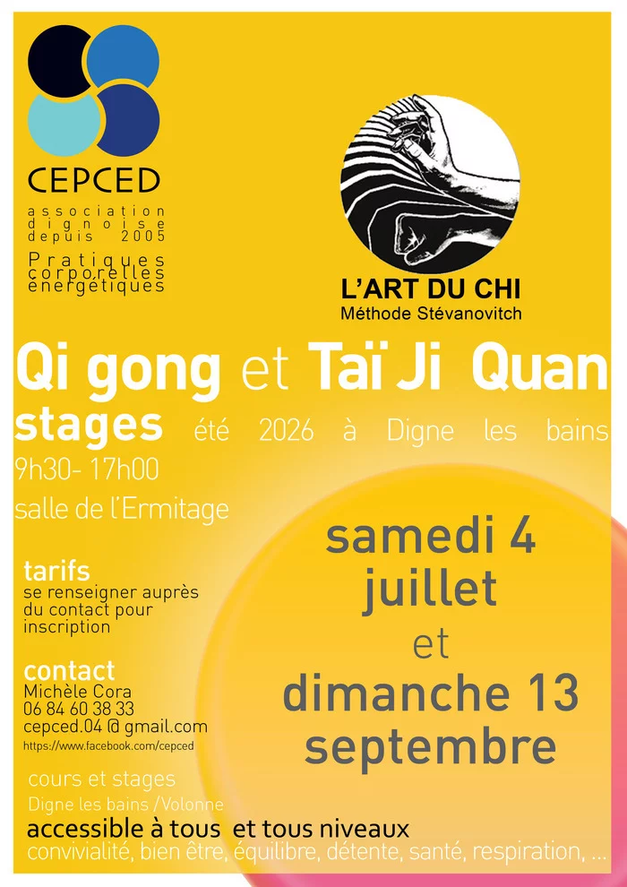 QI GONG TAI CHI STAGE JOURNEE