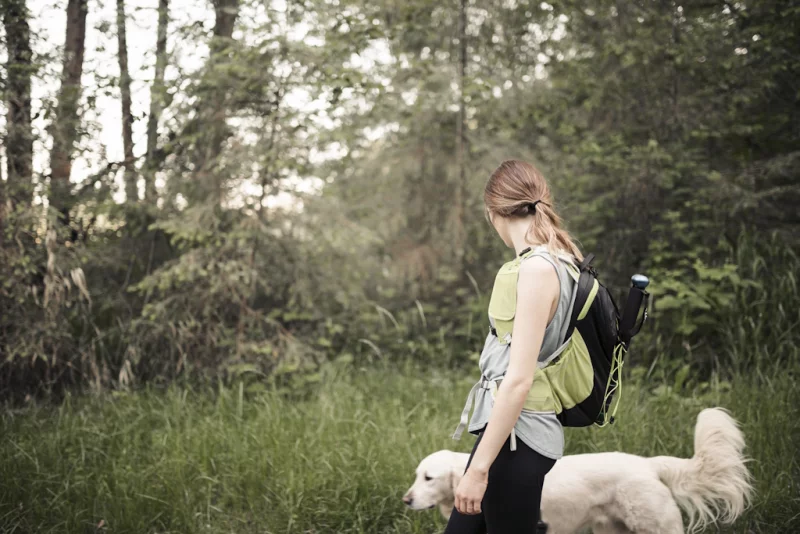Rando et cani rando solidaires