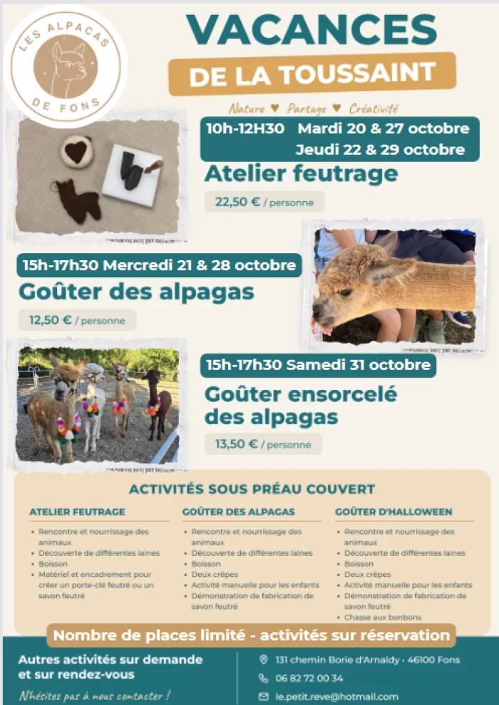 Ateliers feutrage à la ferme des Alpacas de Fons