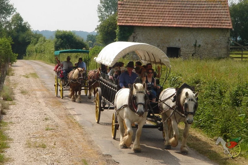 Balade attelée au coeur de Valognes