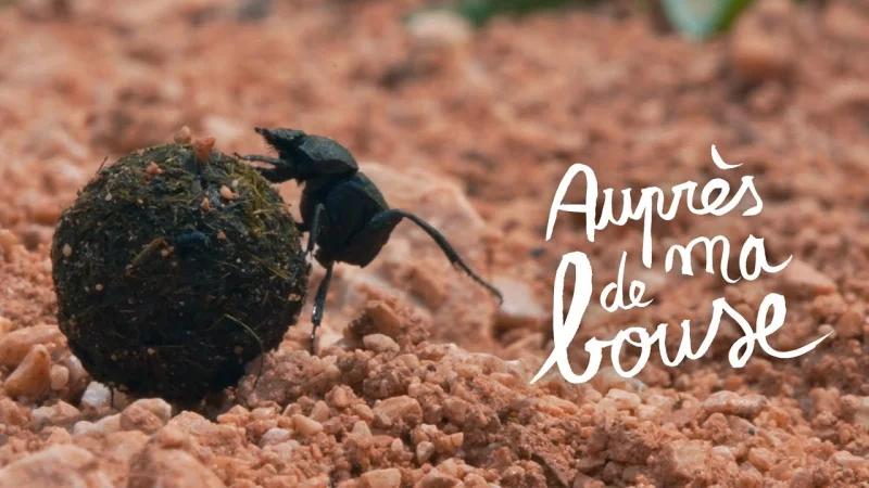 LE MOIS DU DOC : AUPRÈS DE MA BOUSE
