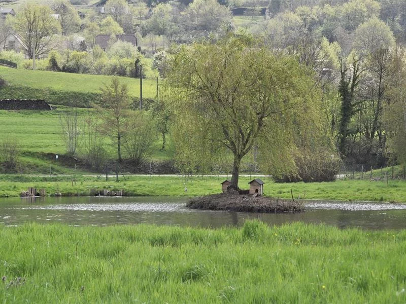 Pêche et détente