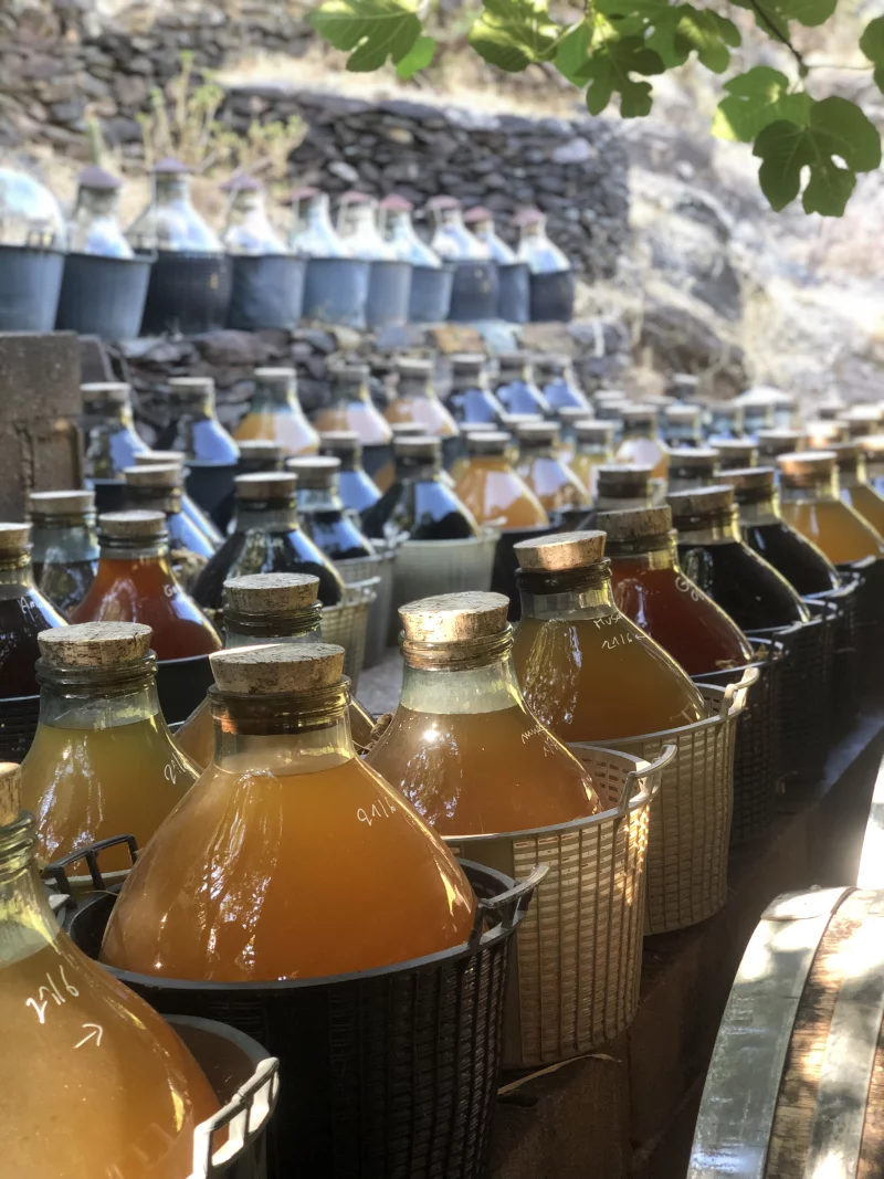 VISITE-DEGUSTATION A LA VINAIGRERIE LA GUINELLE