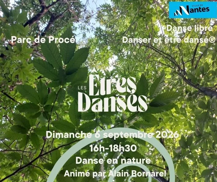 Atelier Les Êtres Dansés - Danse libre et intuitive