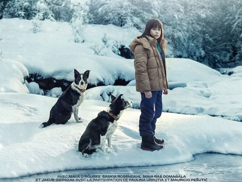 CINÉCO : DÉGEL