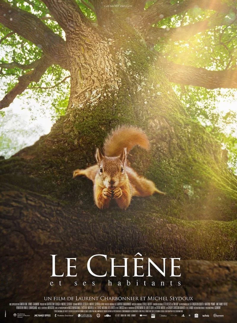 Projection du film "Le Chêne"