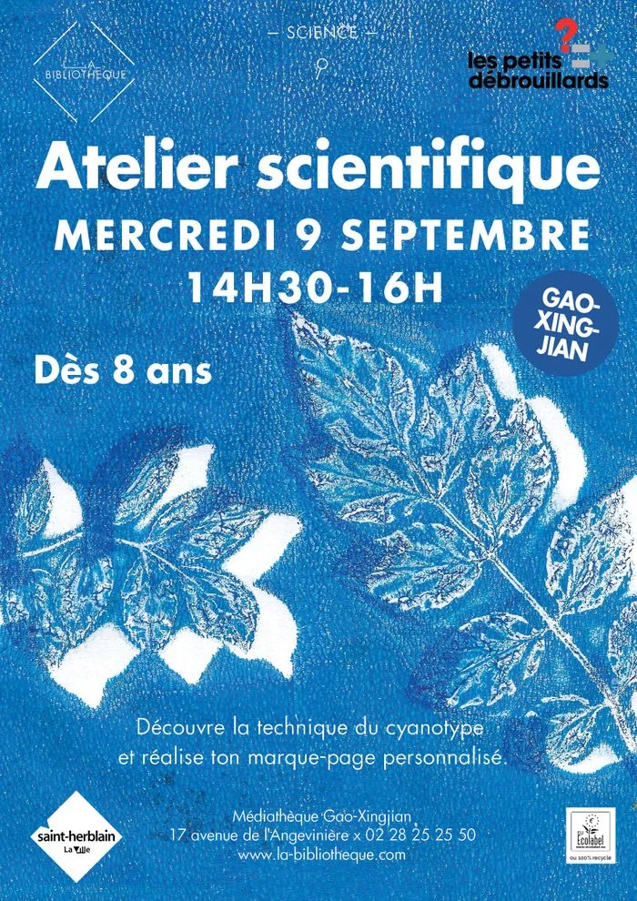 Atelier Petits Débrouillards