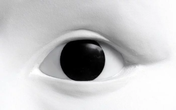 Visionnaires. Carte blanche à Prune Nourry