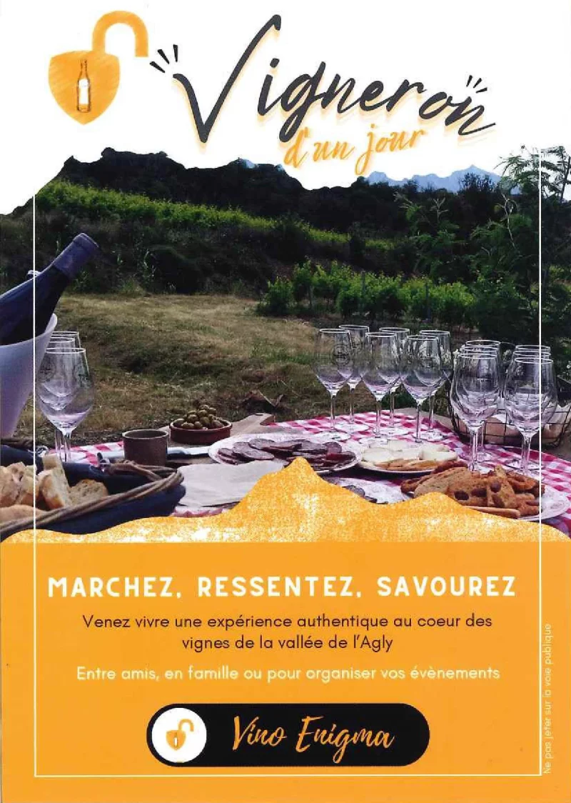 VIGNERON D'UN JOUR - VINO ENIGMA