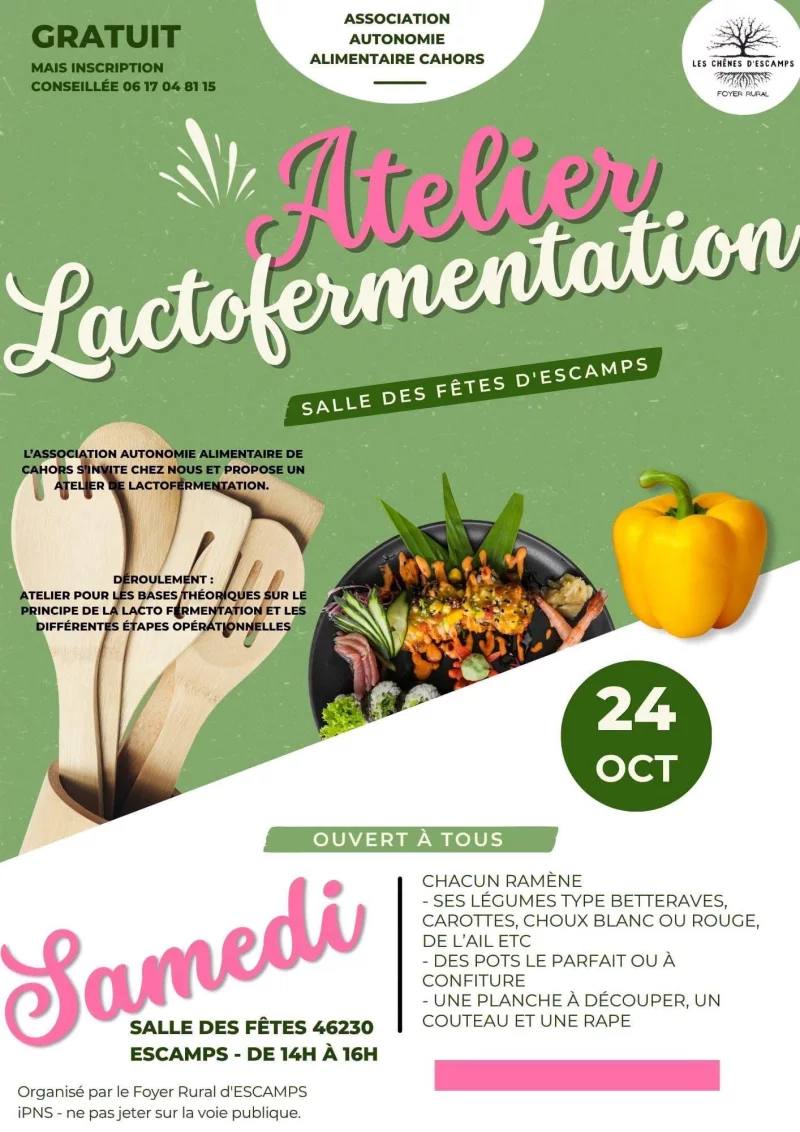 Atelier Lactofermentation