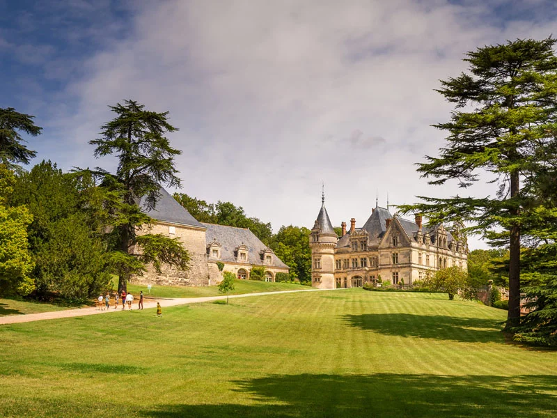 Festival de la forêt et du bois