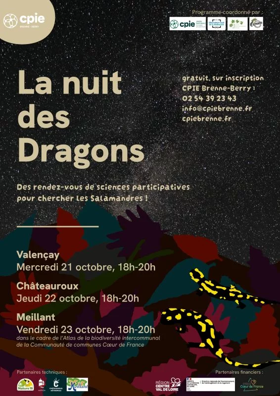 La nuit des dragons