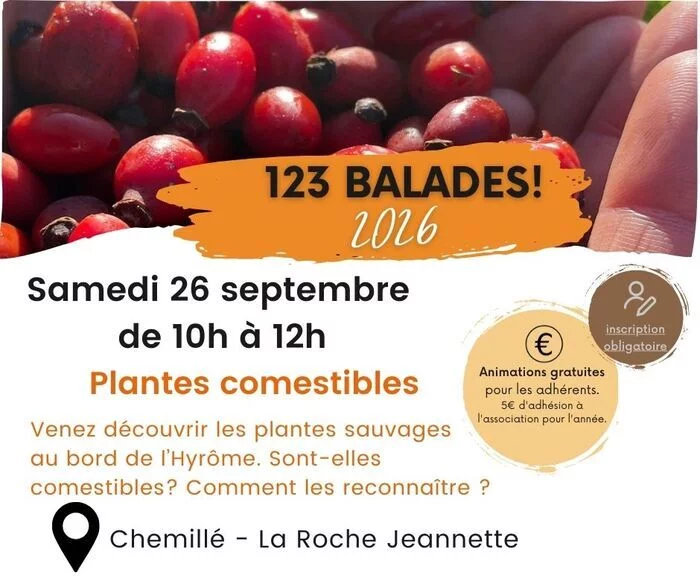 Plantes comestibles