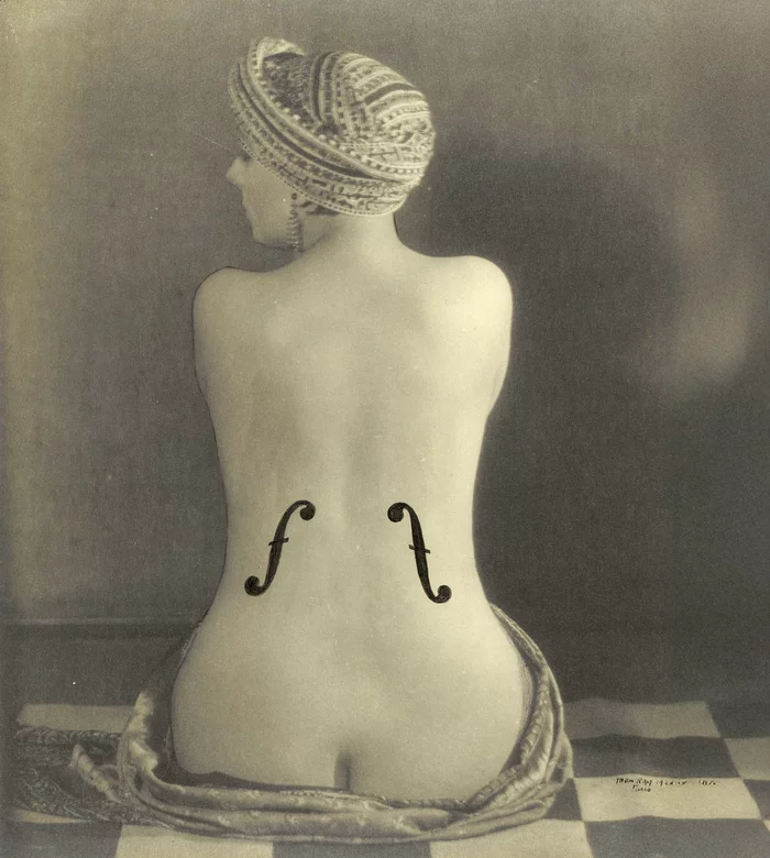 Chambre noire, toile blanche. La photographie face à la peinture