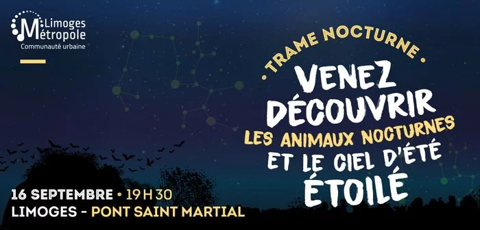Trame nocturne - Venez découvrir les animaux nocturnes et le ciel d'été étoilé