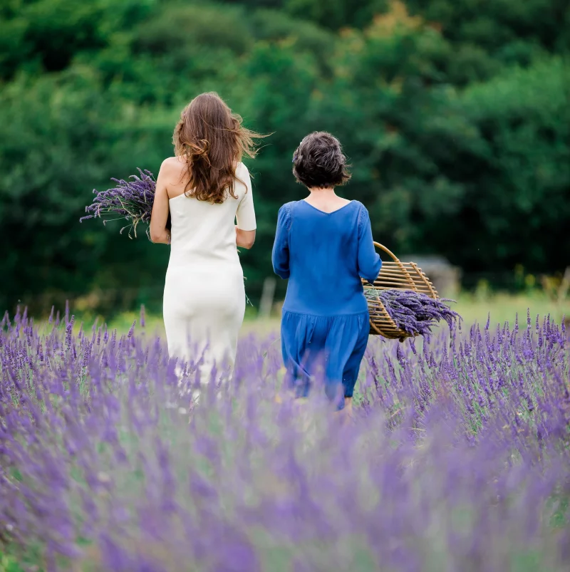 Balade dans le chmap de lavande à Puy Jaillant Family Farm