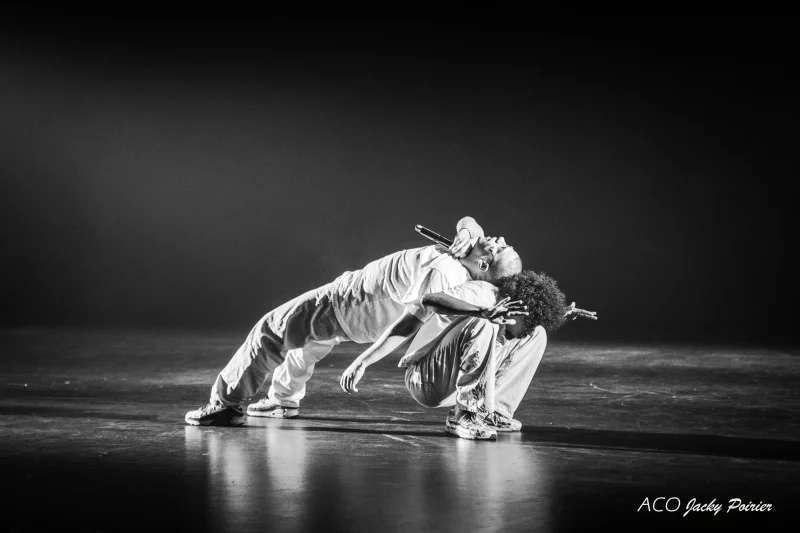Auditorium Sophie Dessus : Candide (âme dansante et corps battants)
