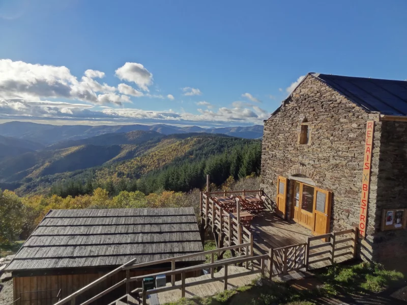 JOURNÉE DANS LA CHÂTAIGNERAIE  ET ENTRETIEN DES OUTILS
