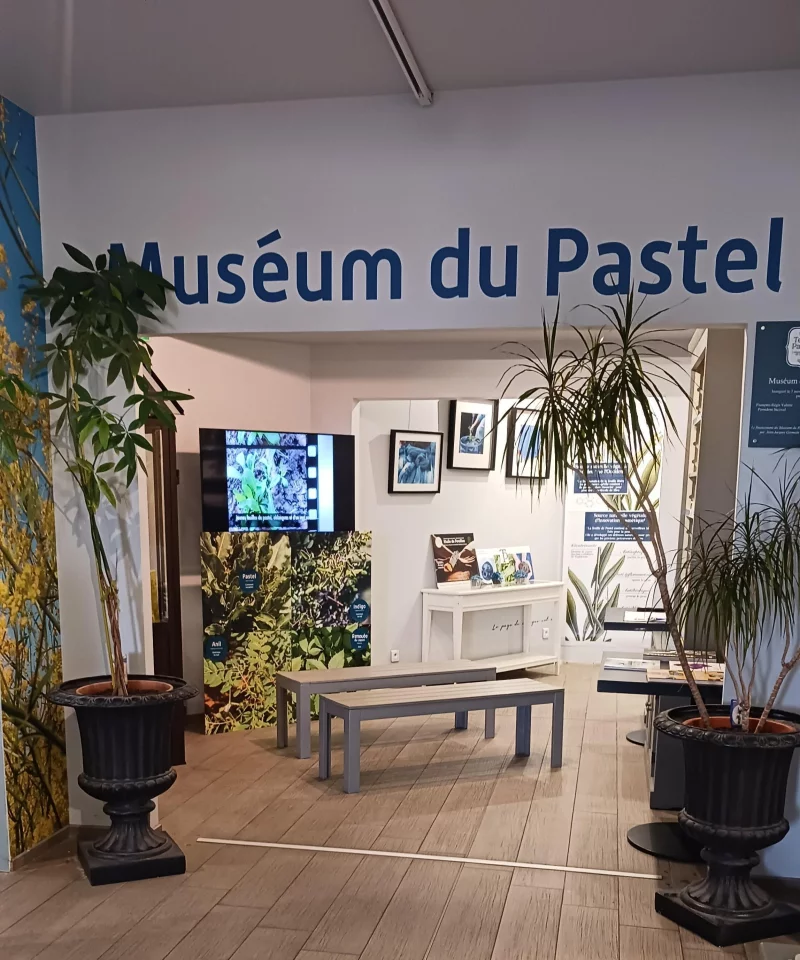 ENTRÉE MUSÉUM DU PASTEL GRATUITE