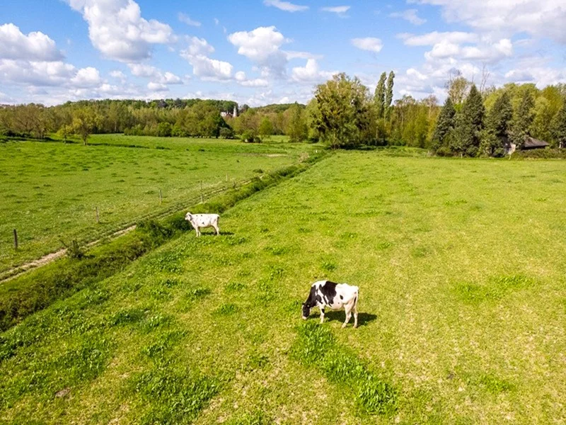Beaux Lieux 2026