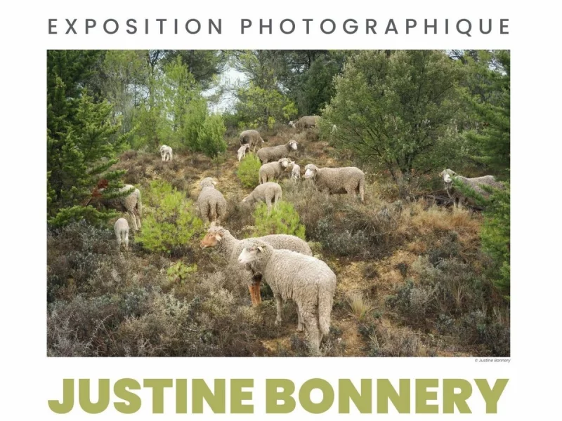 JUSTINE BONNERY "CHRONIQUES RURALES"